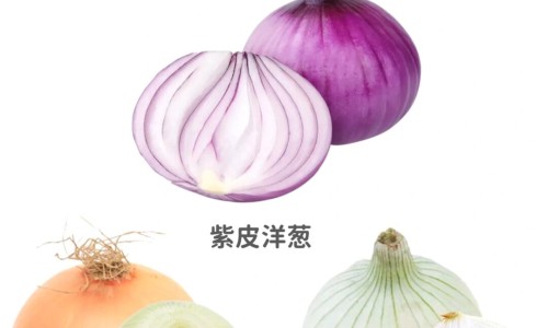 山姑娘泡水喝的功效与副作用专区_山姑娘水有什么功效专区_山姑娘泡水喝的功效网