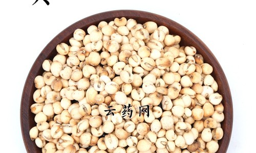 山姑娘泡水喝的功效与副作用专区_山姑娘水有什么功效专区_山姑娘泡水喝的功效网
